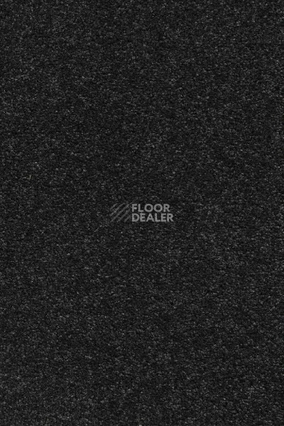 Ковролин AW VivendiI Aaura 99 фото 1 | FLOORDEALER